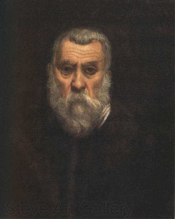 Jacopo Tintoretto Self-Portrait